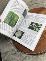Lost Book Of Herbal Remedies: Healing Power Plant Medicine Apelian & Davis