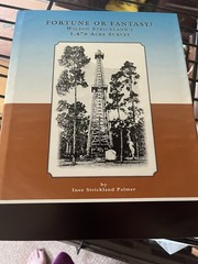 Fortune Or Fantasy By Inez Palmer
