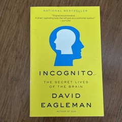 Incognito The Secret Lives of The Brain David Eagleman Paperback