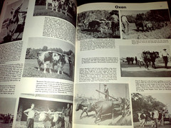 Encyclopedia Of American Steam Traction Engines Jack Norbeck Book 320 Pages
