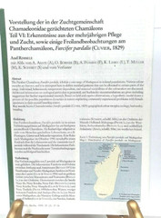 Panther Chameleon Breeding Care Presentation Pamphlet Illustrated ’99 IN GERMAN