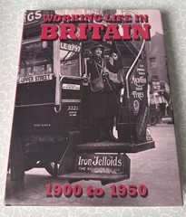 Working Life In Britain by Janice Anderson (Hardcover, 2007). 192 Pages Like New