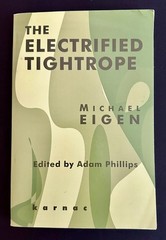 The Electrified Tightrope by Michael Eigen 2004 1st UK Paperback VG Condition