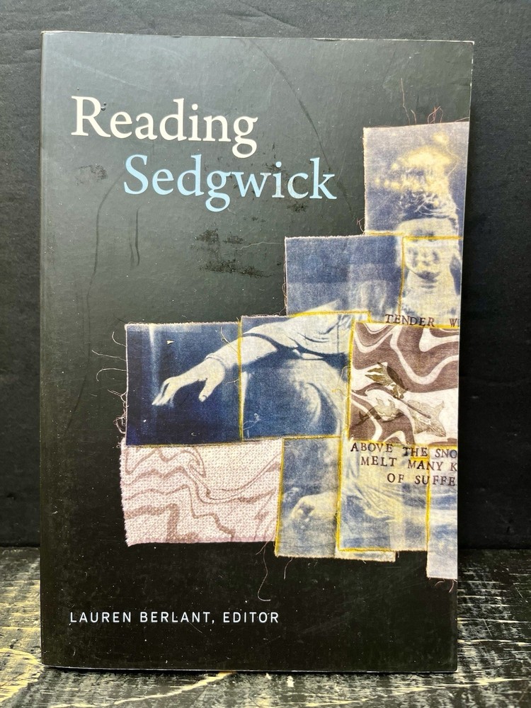 Reading Sedgwick by Lauren Berlant (2019, Trade Paperback) Like New T1