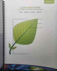 Exploring Creation with Botany Notebooking Journal 2009 Spiral 2nd Edition