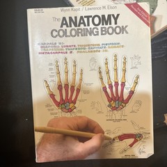 The Anatomy Coloring Book – paperback, Wynn Kapit, 9780064550161