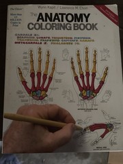 The Anatomy Coloring Book Kapit Elson Medical Student Study Guide 2nd Ed