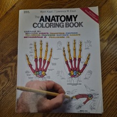 The Anatomy Coloring Book – paperback Wynn Kapit